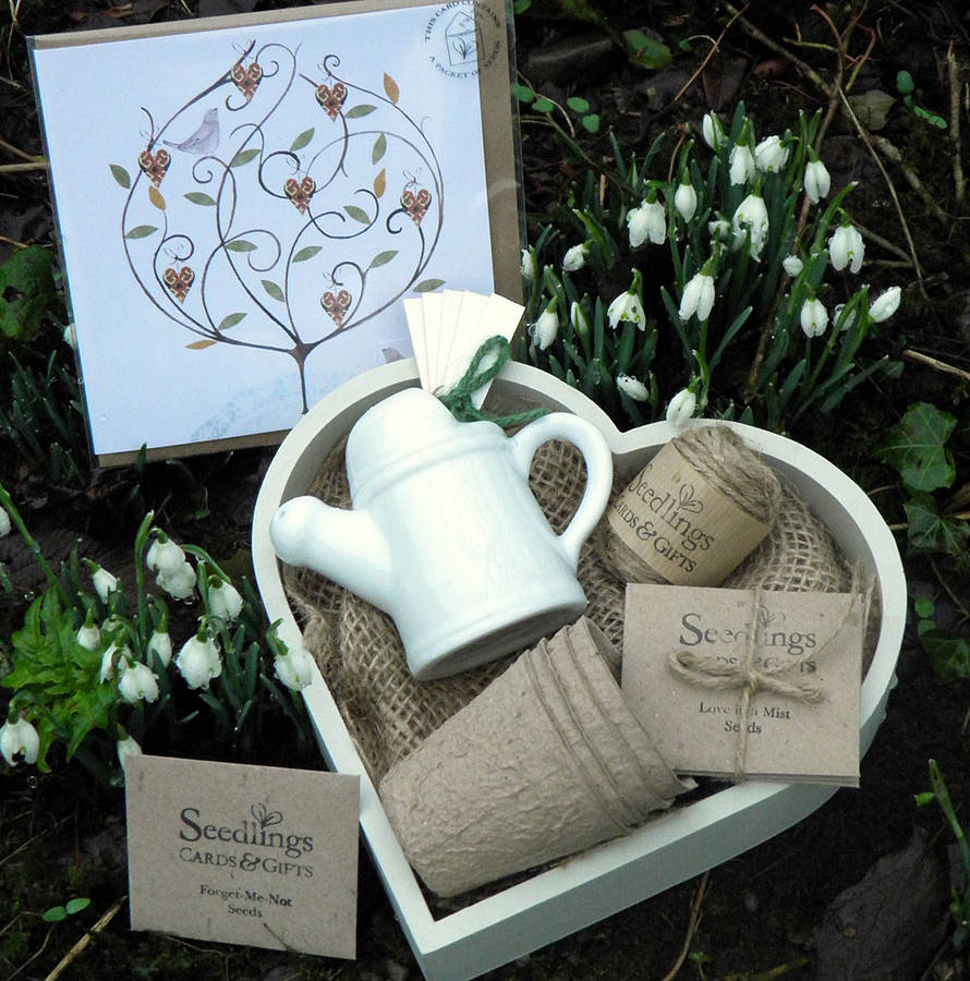 Love Grows Gardening Gift Set By Seedlings Cards & Gifts